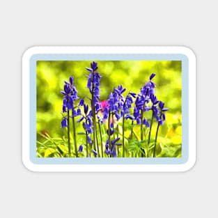 Artistic Bluebells Magnet