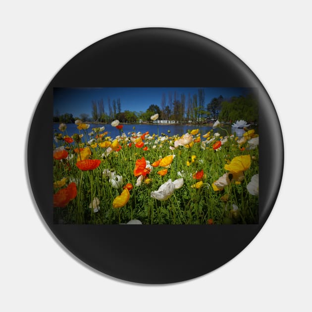 Drowsy Flowers in Spring Pin by SHappe