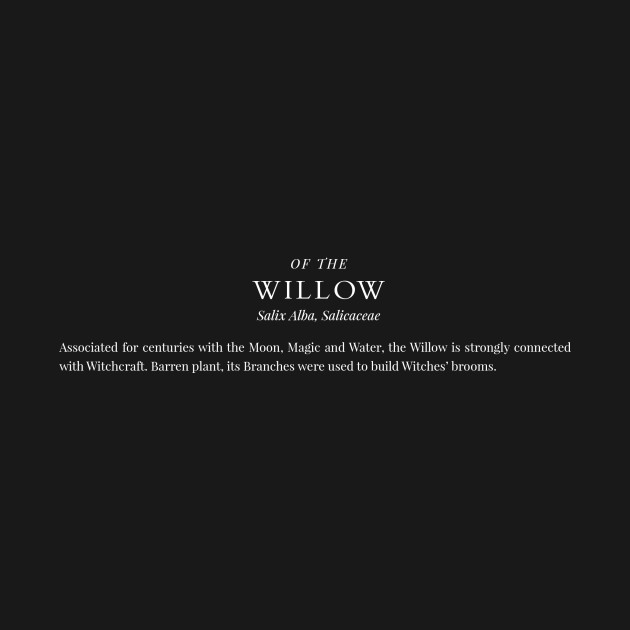 Witchy Herbarium, Willow by Alilunet