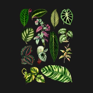 Tropical houseplants collection T-Shirt