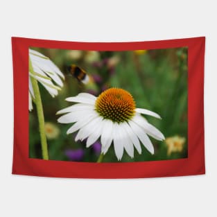 Echinacea Purpurea with Bee Tapestry