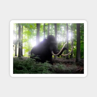 Mammut im Wald mamut mammoth ancient elephant in the woods Magnet