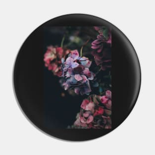 Red And Blue Hydrangea Flowers - Nature Inspired Pin