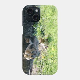 Baby fox Phone Case