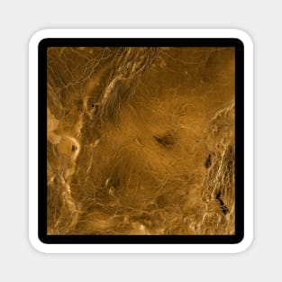 Fractured Venus Magnet