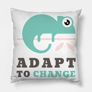 Adapt to change Pillow