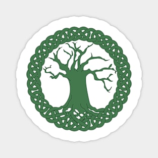 Tree of life with celtic knot border Magnet