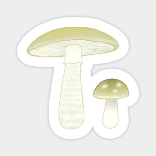 Death Cap Magnet