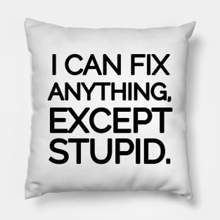 I can fix anything, except stupid. Pillow