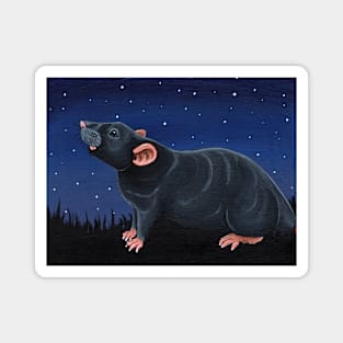 Grey Rat Stargazing Magnet