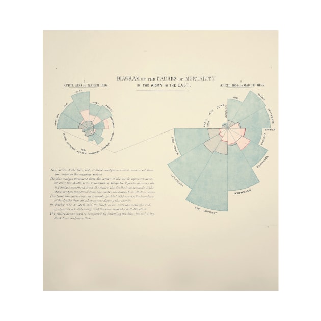 Causes of death in the Crimean War (C033/6340) by SciencePhoto