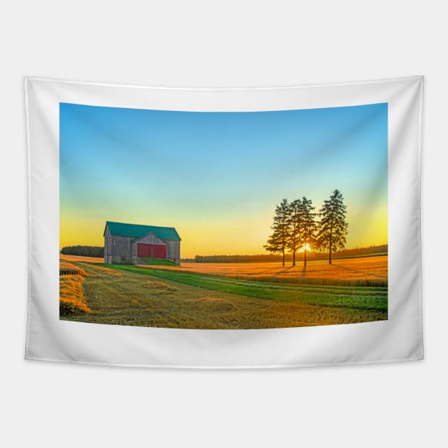 Ontario Barn at Sunset Tapestry by BrianPShaw