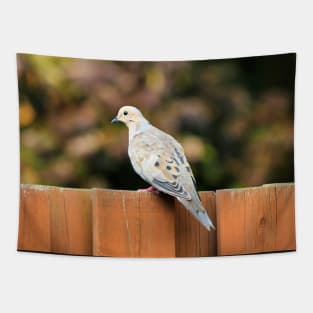 Mourning Dove Perched On a Fence Tapestry