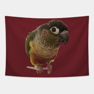 Green Cheek Conure Parrot Bird design, Love for birds Tapestry