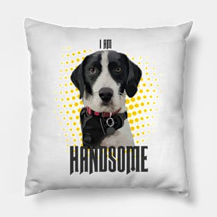 Handsome Dot Pillow