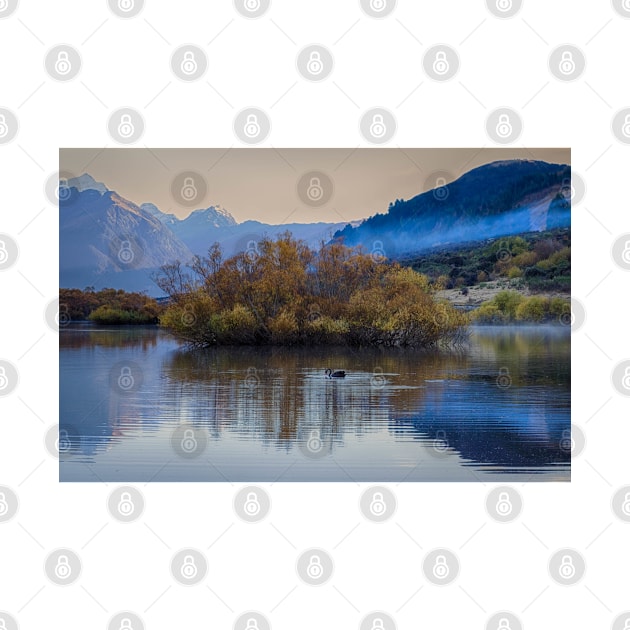 Serene Swan: A Majestic Sight in Glenorchy by Rexel99