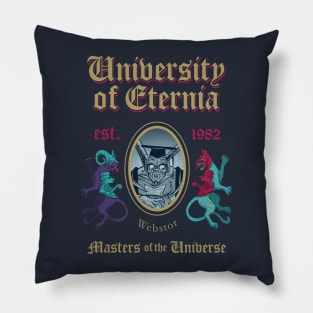 MSc in Universe Model 8 Pillow