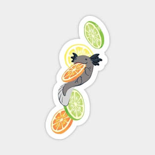 Snaxy Citrus Magnet