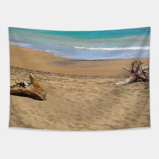 Two dead woods on sand at Pacitan beach Tapestry