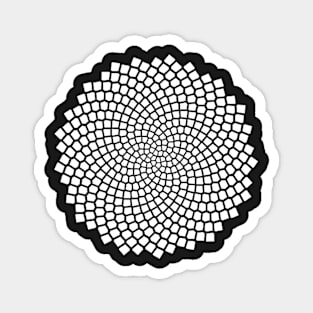 Spiral pattern Magnet