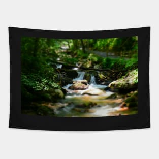 Mountain Streams Tapestry