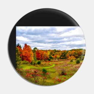 "Autumn Valley" Pin