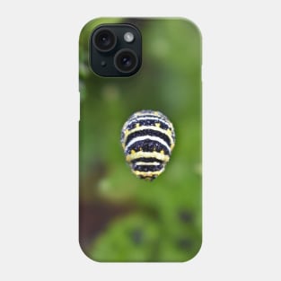 Swallowtail Caterpillar Phone Case