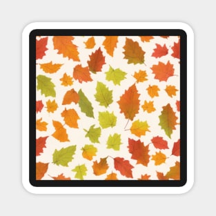 Watercolor Fall Pattern Magnet