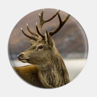 Red Deer Stag Pin