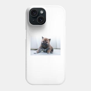 Why don't you take me home? Phone Case