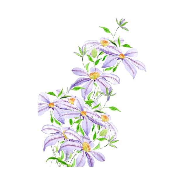 climbing purple clematis florida watercolor by colorandcolor