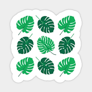 Monstera Magnet