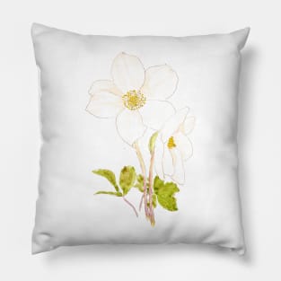 white hellebore flowers ink and watercolor Pillow