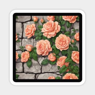 PEACH CLIMBING ROSES ON STONE WALL Magnet