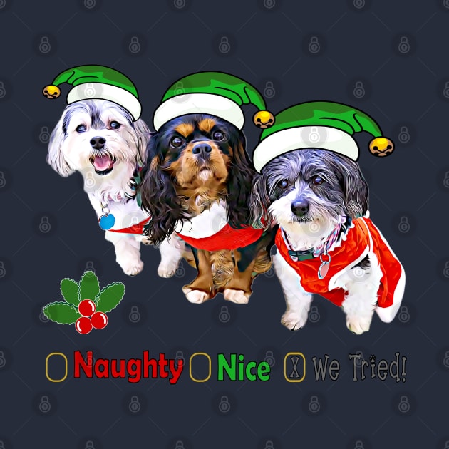 Naughty or Nice Dog Holiday Gifts by THE Dog Designs