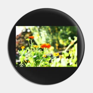 Orange and yellow flowers droplet sunshine Pin