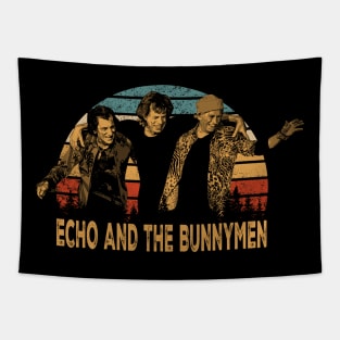 Echo And The Bunnymen Unplugged Acoustic Serenades In Frames Tapestry