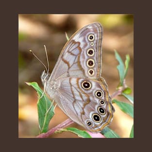 brown butterfly T-Shirt