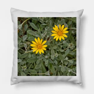 Flowers Pillow