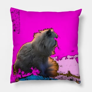 cat 13 / Swiss Artwork Photography Pillow