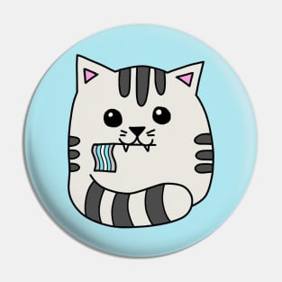 demiboy pride flag cat Pin