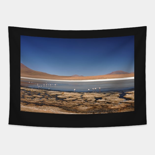 Bolivie - Salar d'Uyuni Tapestry by franck380