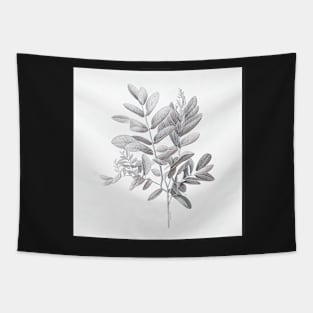 Black And White ZZ Plant Drawing Illustration Tapestry