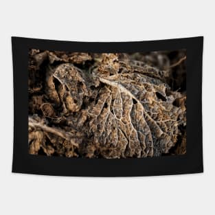 Cabbage leaf Tapestry