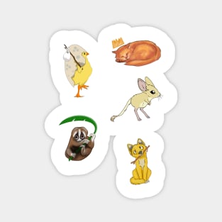 Cute Animals Selection Pack Magnet