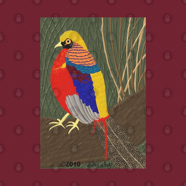 Golden Pheasant by DebiCady