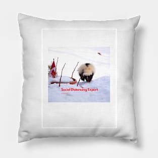 Social distancing Expert Canada Pillow