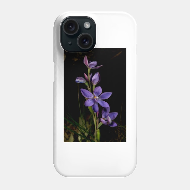 Spots In The Sun Phone Case by GP1746