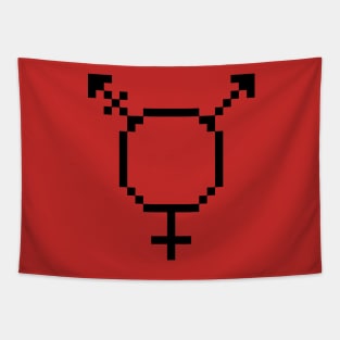 8 Bit Trans Symbol Tapestry