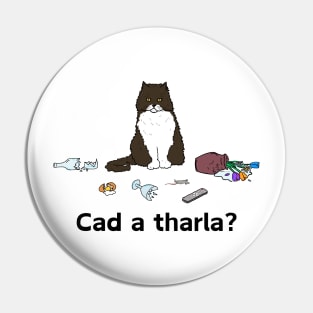 Cad a tharla cat? - Irish Laguage Cat design Pin